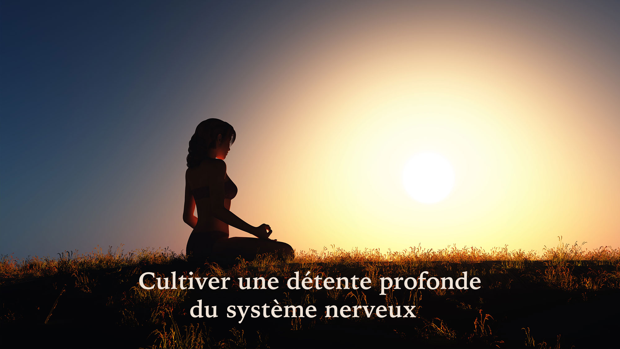 systems nerveux-2